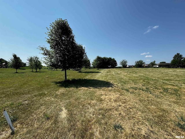 1313 Grand Ave, Macomb, IL 61455 - photo 3