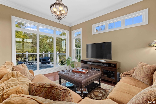 living room with crown molding, a notable chandelier, wood finished floors, and plenty of natural light