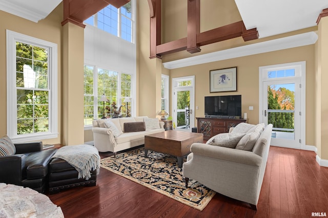 living area with baseboards, crown molding, a towering ceiling, and dark wood-style floors