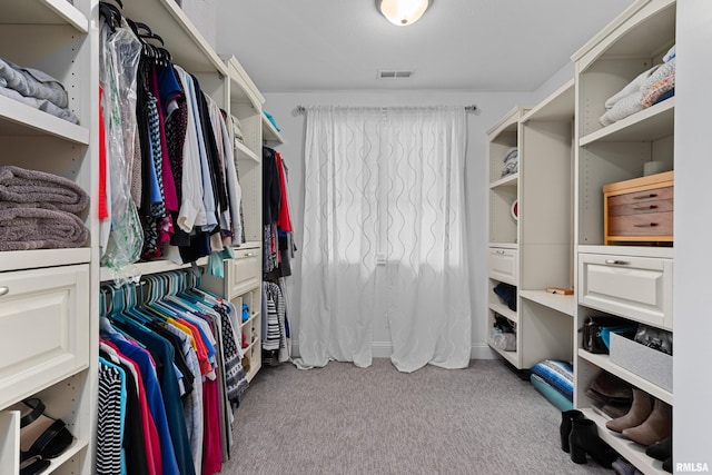 walk in closet featuring visible vents and carpet floors