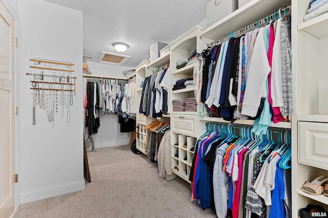 spacious closet featuring attic access and light colored carpet