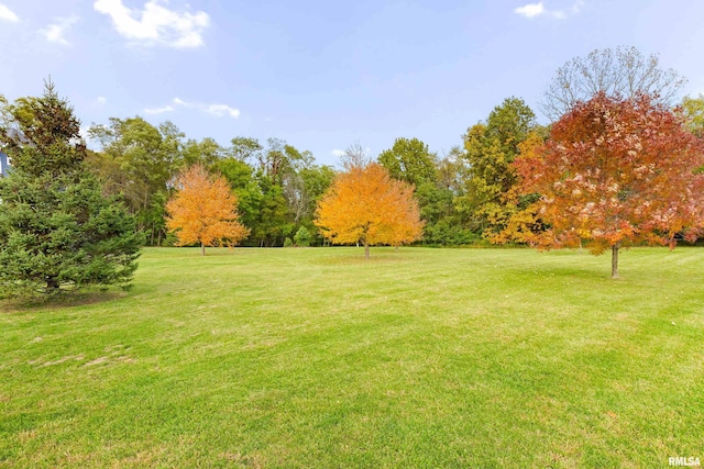 view of yard