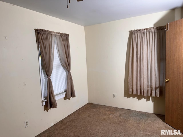 spare room with ceiling fan and carpet flooring