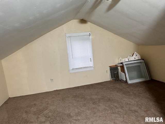 additional living space with carpet and lofted ceiling