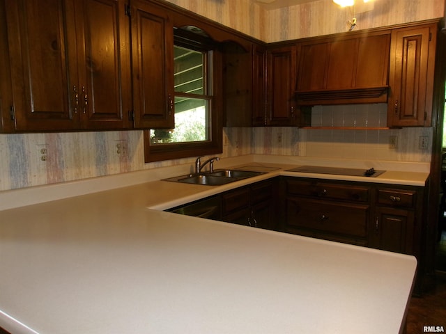 kitchen with sink, dark brown cabinets, black appliances, and backsplash