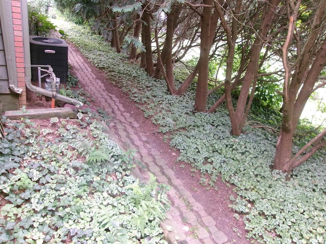 view of yard with central air condition unit