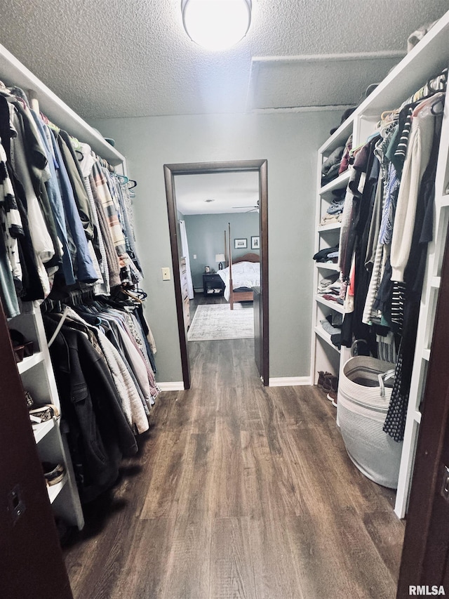 walk in closet with attic access and wood finished floors