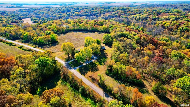 bird's eye view