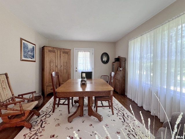 dining space featuring hardwood / wood-style floors