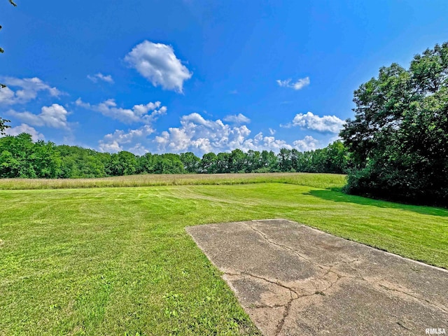 view of yard