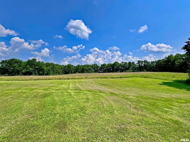 view of yard with a rural view