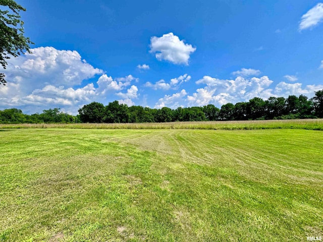 view of yard featuring a rural view