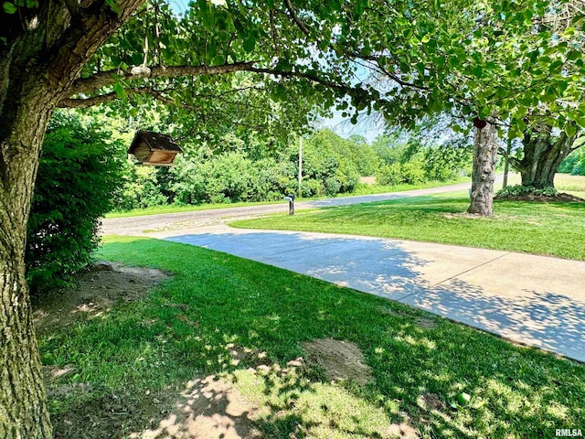 view of home's community featuring a lawn