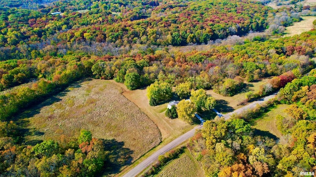 bird's eye view