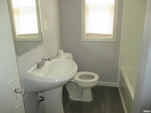 bathroom with wood-type flooring and toilet