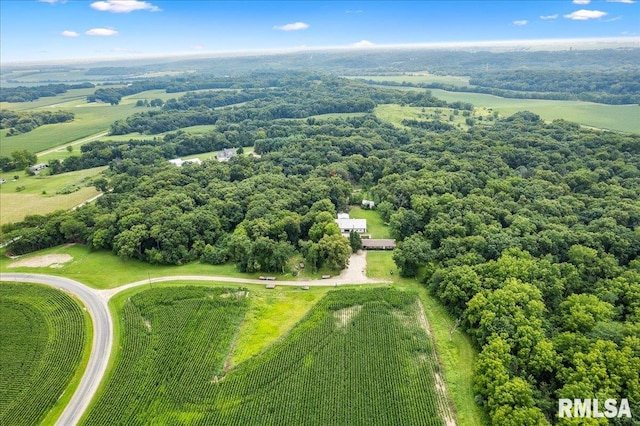 drone / aerial view