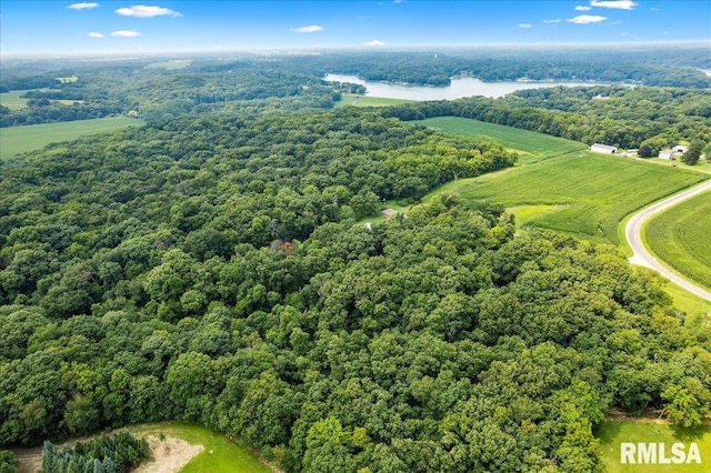 1638 Knox Highway 15, Dahinda, IL 61428 - aerial view of a forest