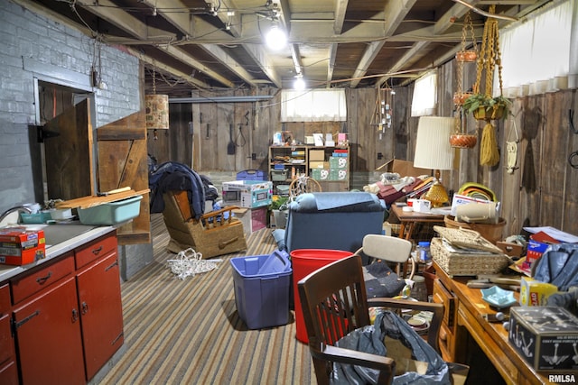 basement featuring carpet flooring, sink, and wood walls