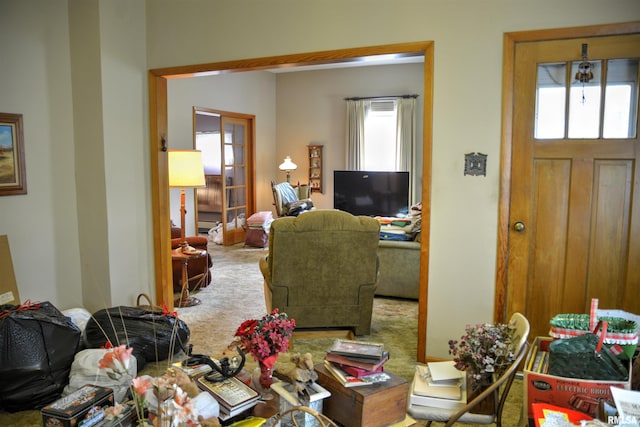 living room with carpet