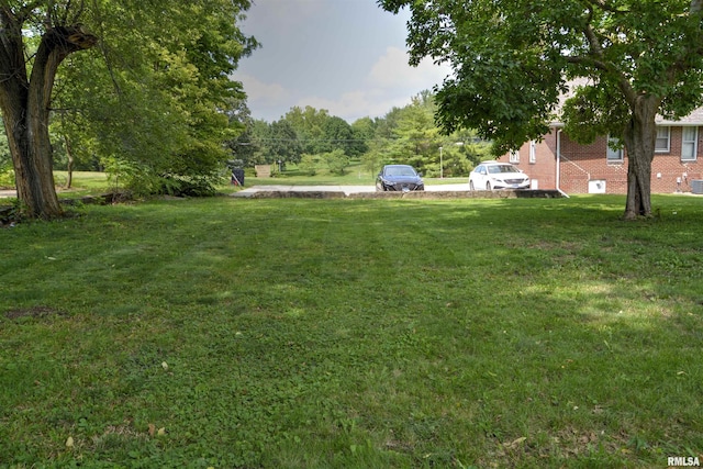 324 N Charles St, Macomb, IL 61455 - view of green lawn