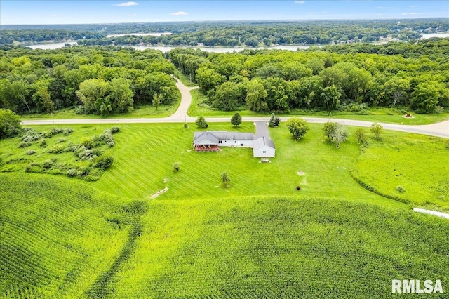 birds eye view of property with a rural view