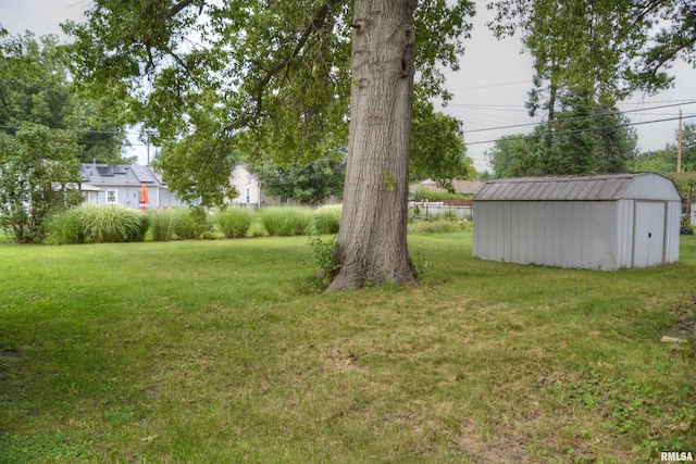 view of yard featuring a shed