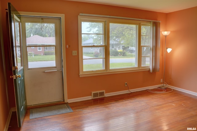 entryway featuring hardwood / wood-style floors and a wealth of natural light