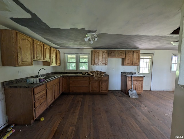 kitchen with dark hardwood / wood-style flooring and sink