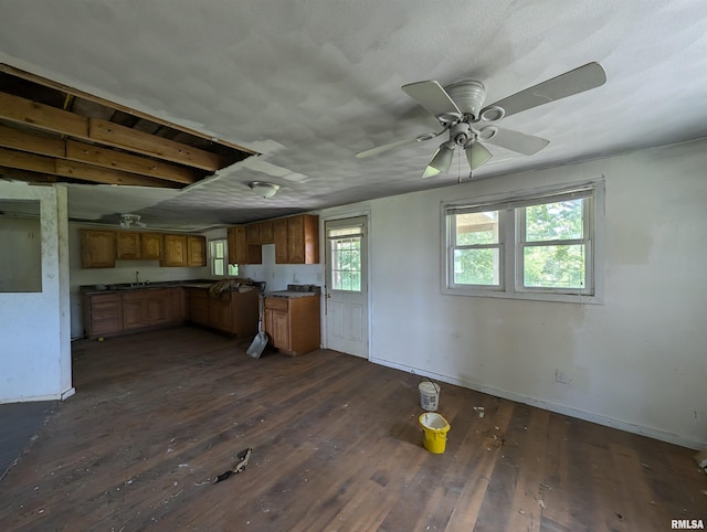 kitchen featuring ceiling fan and dark hardwood / wood-style floors