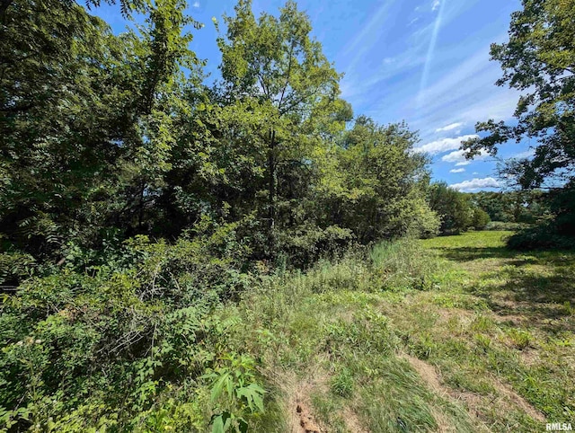 view of local wilderness