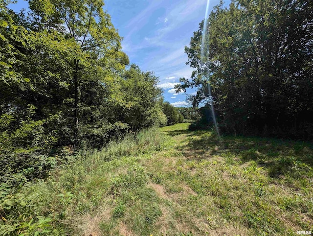 view of local wilderness