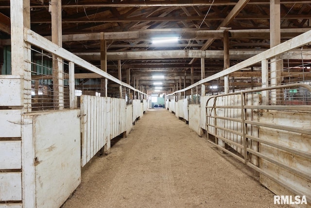 view of horse barn