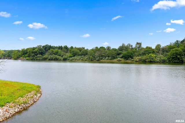 property view of water