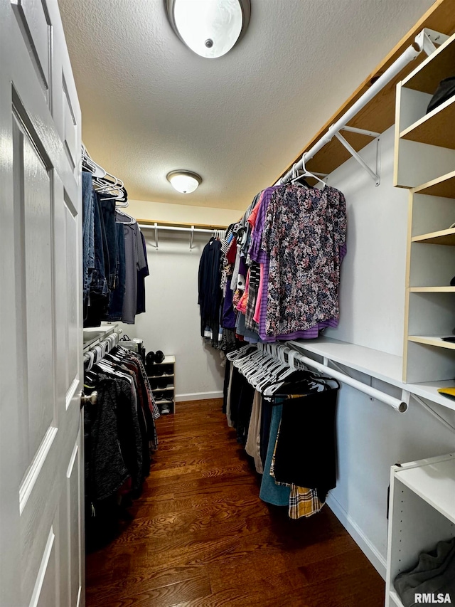 walk in closet with dark hardwood / wood-style floors