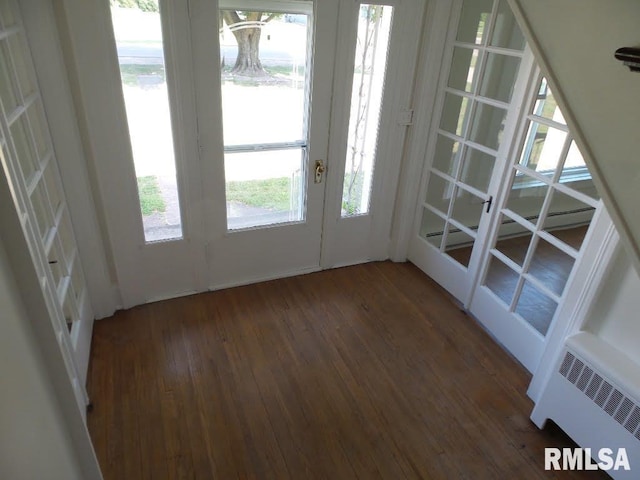 doorway featuring french doors, dark hardwood / wood-style flooring, and plenty of natural light