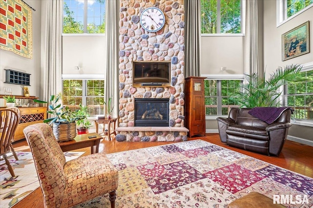 living room featuring hardwood / wood-style flooring and a stone fireplace