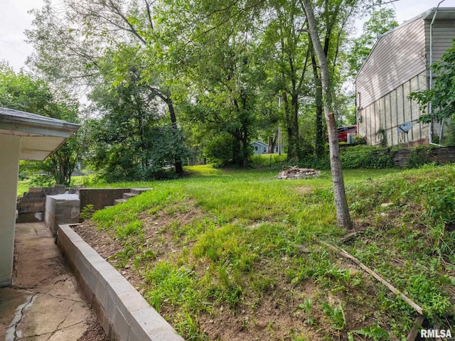 view of yard