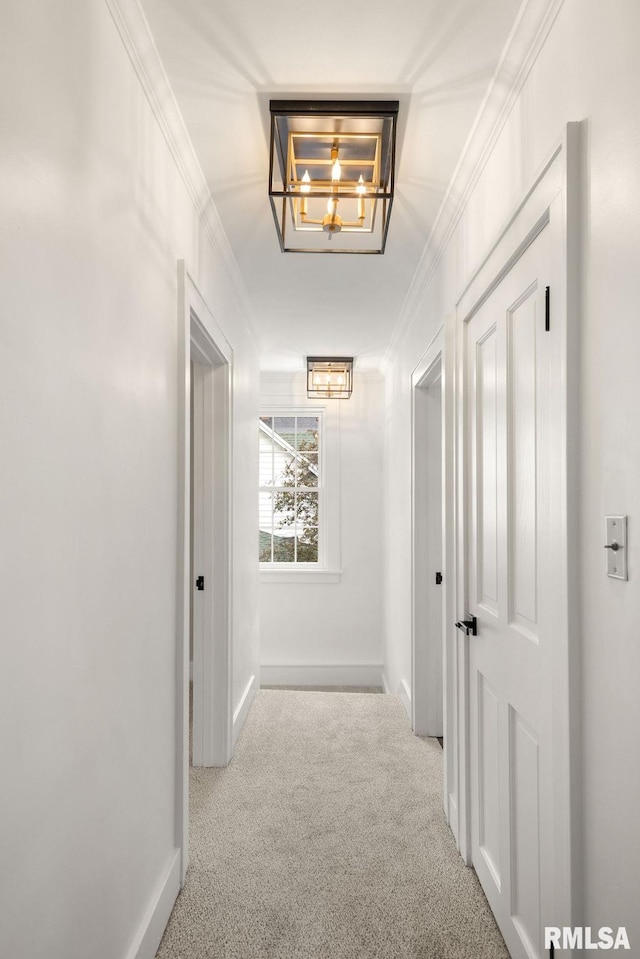 corridor featuring light carpet and crown molding