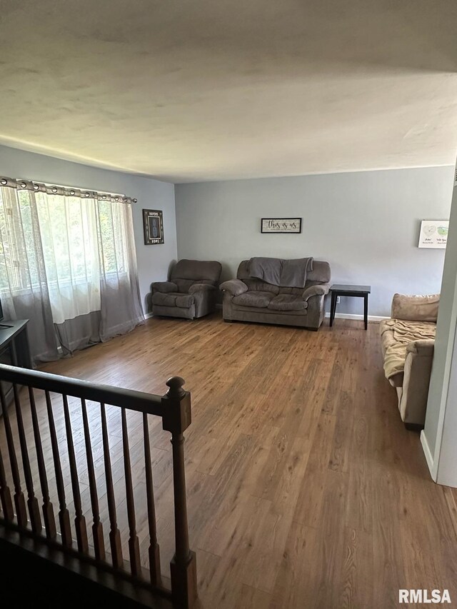 living room featuring hardwood / wood-style flooring