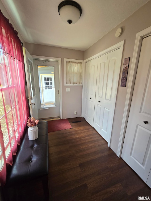 interior space featuring plenty of natural light and dark hardwood / wood-style floors