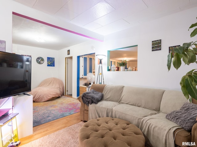 living room with light hardwood / wood-style floors