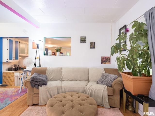 living room featuring light hardwood / wood-style floors