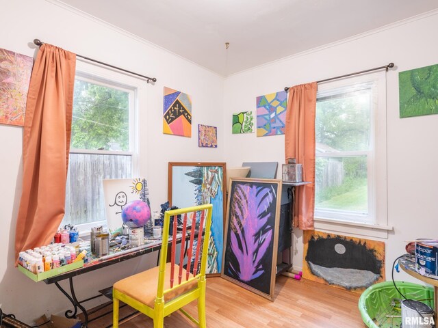 rec room featuring hardwood / wood-style flooring and crown molding