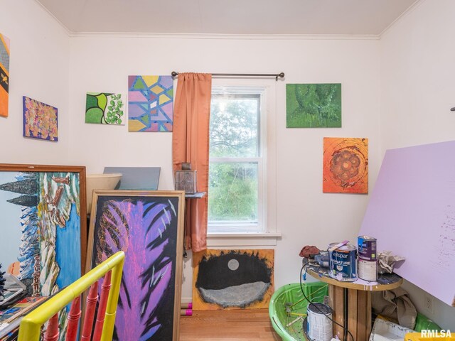 bedroom featuring hardwood / wood-style flooring and ornamental molding