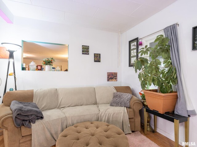 living room featuring light wood-type flooring