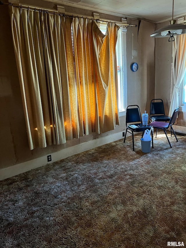 sitting room with a wealth of natural light and carpet floors