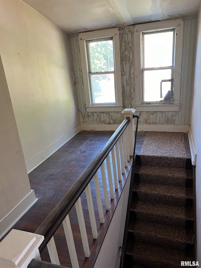 stairs featuring wood-type flooring