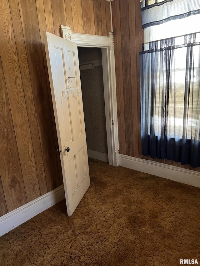 interior space featuring wood walls and carpet floors