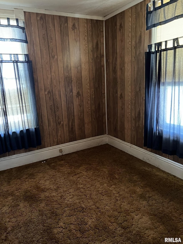 carpeted spare room with plenty of natural light and wooden walls