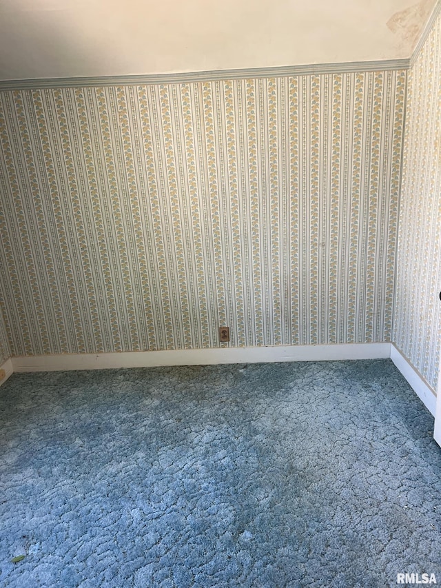 spare room with crown molding and carpet flooring